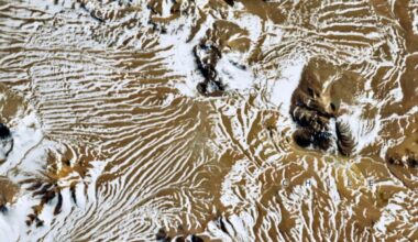 Something Strange Just Happened In Earth's Driest Desert