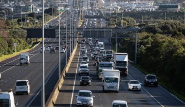 Jagpreet Singh named as man who died after SH20 crash in Māngere