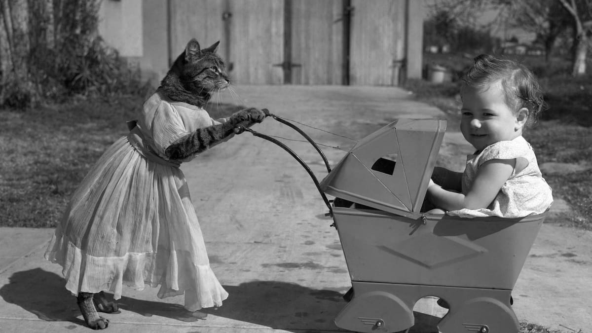 Herald morning quiz: December 25