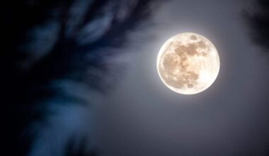 What Really Created The Moon Scientists Say It’s Not Just One Impact, But This Many!
