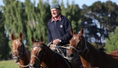 Whanganui farrier Kevin Schimanski dies in polo match accident