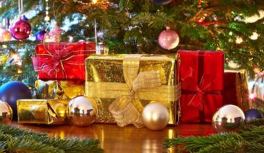 Christmas gifts stolen from parked car prompts warning over holiday break-ins