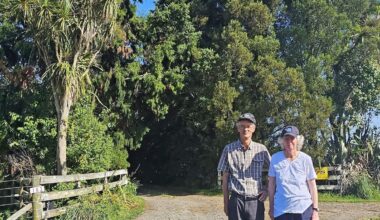 Genesis Energy faces backlash over plan to fell Pūtiki Rd heritage trees
