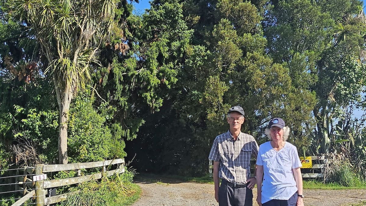 Genesis Energy faces backlash over plan to fell Pūtiki Rd heritage trees