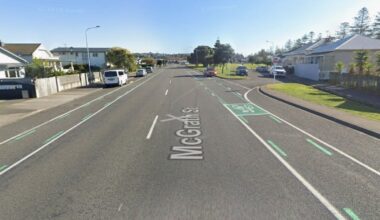 Napier road death: Police name man who died in hospital after being struck on Boxing Day