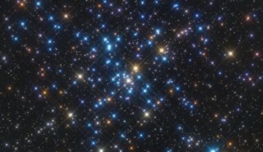 A Beautiful Open Cluster Named M41