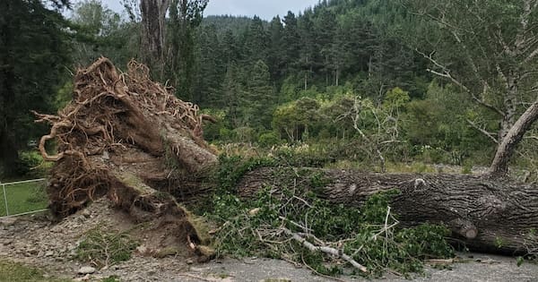 Widespread power outages across NZ as storms move south