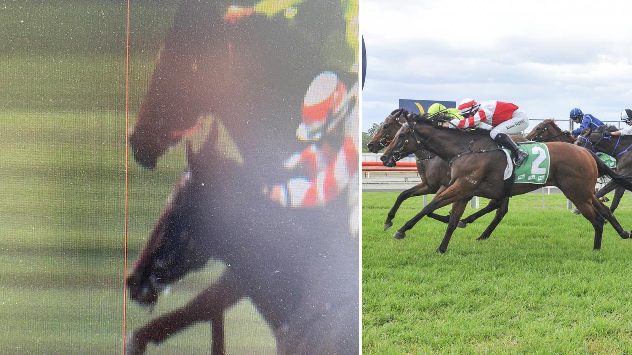 Lady Billie (no.2) and Oakfield Utah hit the line at Tamworth (right) and the official photo finish (left) for the race, which was declared a dead heat after originally being declared a victory for Lady Billie.