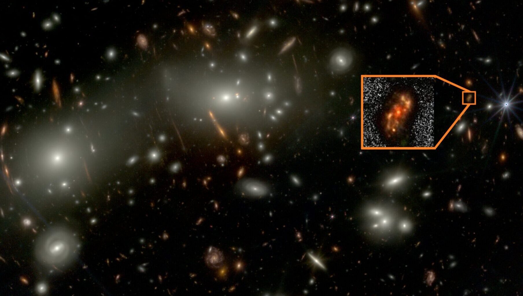 Brighter Side of News