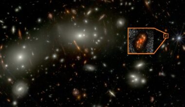 Brighter Side of News