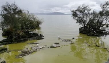 Rotorua swimmers warned of hidden hazards, health risks in water