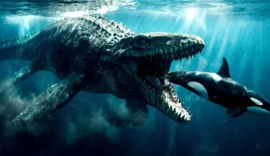 Ancient oceans were ruled by super predators unlike anything today