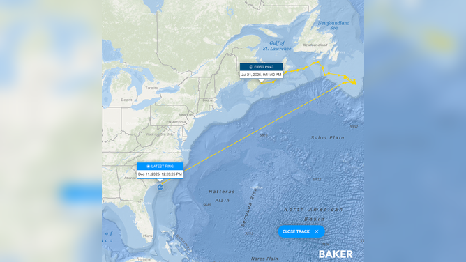 Baker's recent ping off South Carolina as shown on OCEARCH's shark tracker.