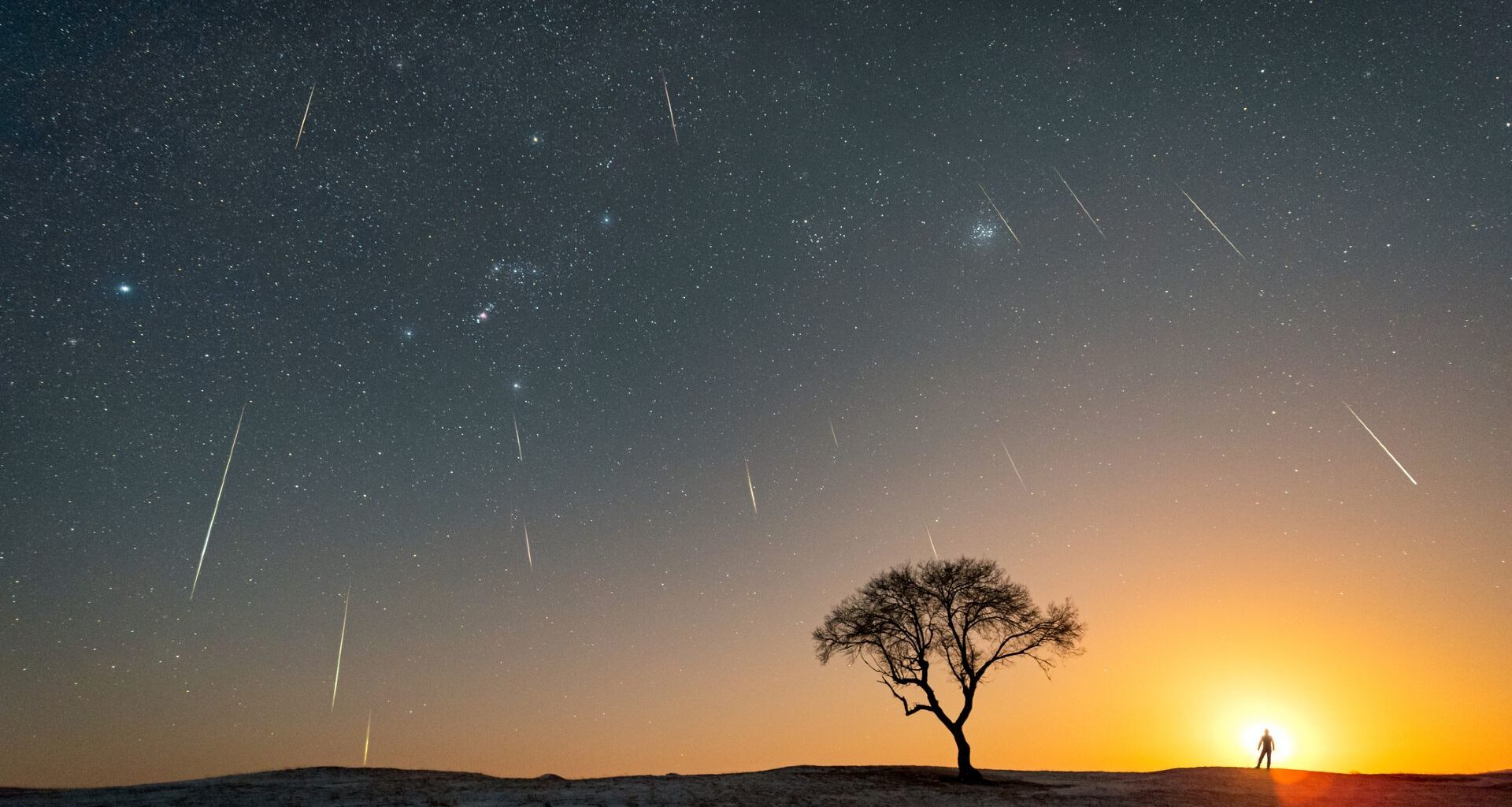 Streaks of white light from the Geminid meteor shower are seen across an orange and blue sunset night sky with a silhouette of a tree and person in the foreground