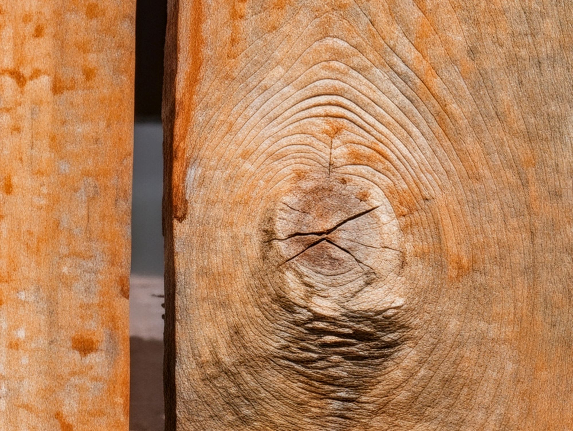 Google Pixel 10 Pro XL Pro Res Zoom sample.