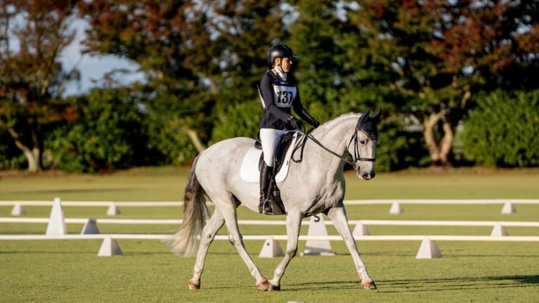 Beloved horse Scooter before he went missing. Photo: Supplied