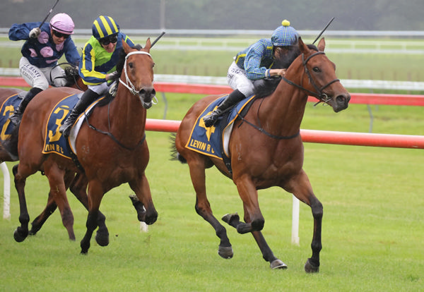 Ammirati wins the G3 Wellington Stakes - Race Images