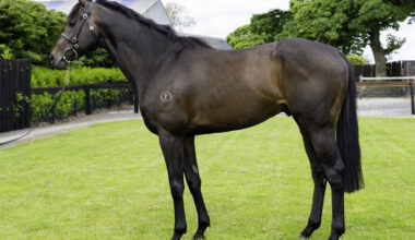 Ancient Spirit (Ger)