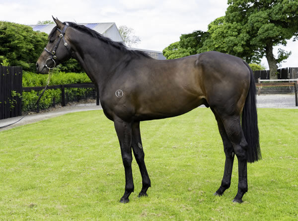 Ancient Spirit (Ger)