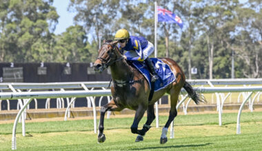 Ice Kool has two wins from two starts and heads to the $3million Magic Millions Sunlight - image Bradley Photos