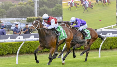John Dory winning at Canterbury in November Photo: Bradley Photography