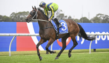 Kind Words is the 183rd stakes-winner for Redoute