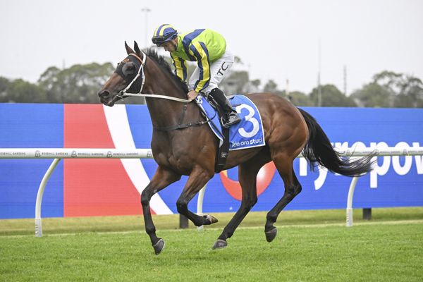 Kind Words is the 183rd stakes-winner for Redoute