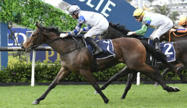 El Roca filly Lollapalooza is one of the key runners - Race Images