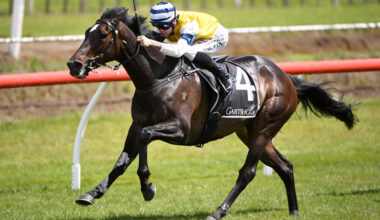 Mary Shan wins the G3 Great Northern Challenge - Race Images