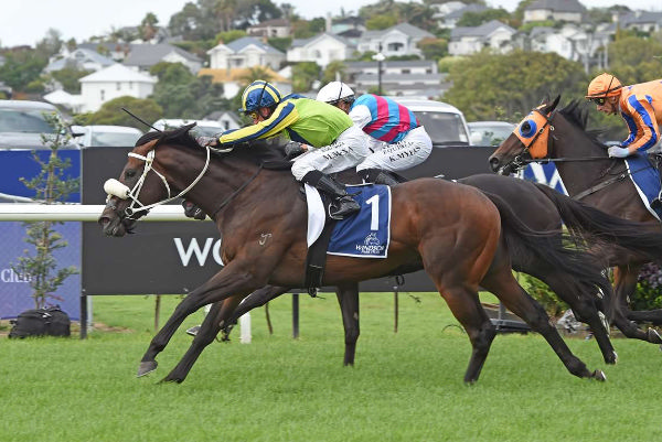 I Am Invincible stallion Tardelli will run in the G1 Telegraph - Race Images