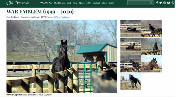 War Emblem eventually lived happily ever after! Click to read more.  