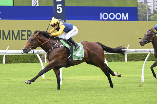 Warwoven winning at Randwick on Saturday.  Photo: Bradleyphotos.com.au