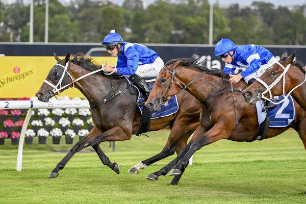 Wootton Way opens her account at Canterbury - image Bradley Photos