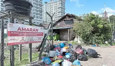 Subscribe Placeholder