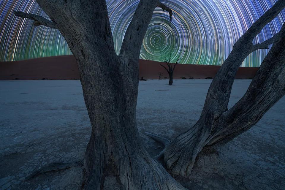timelapse of stars over trees and desert landscapes