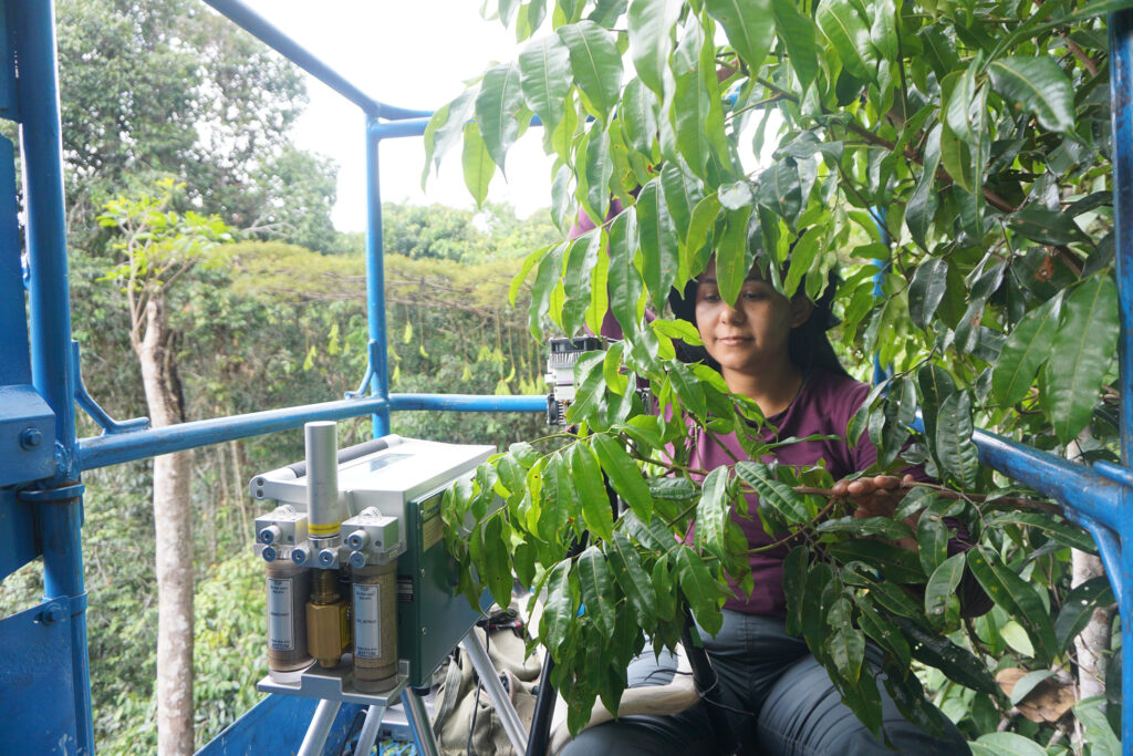 woman sitting on a lift in the treetops among leaves