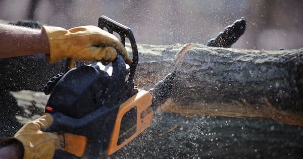 Punctured lung, severed tendon among injuries in Southland clean up