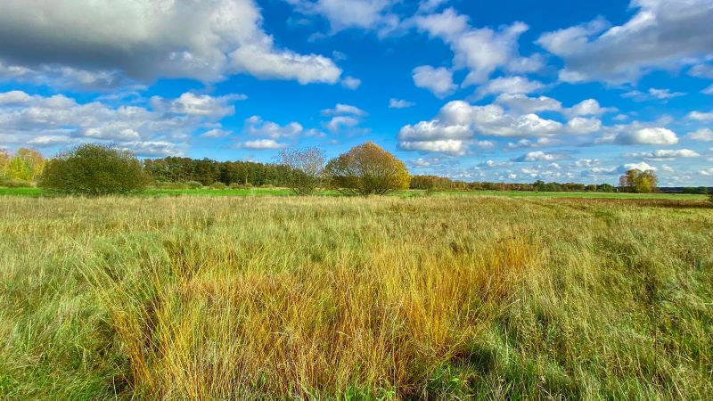 A day out in the Death Strip: How a symbol of communist paranoia became a wild paradise