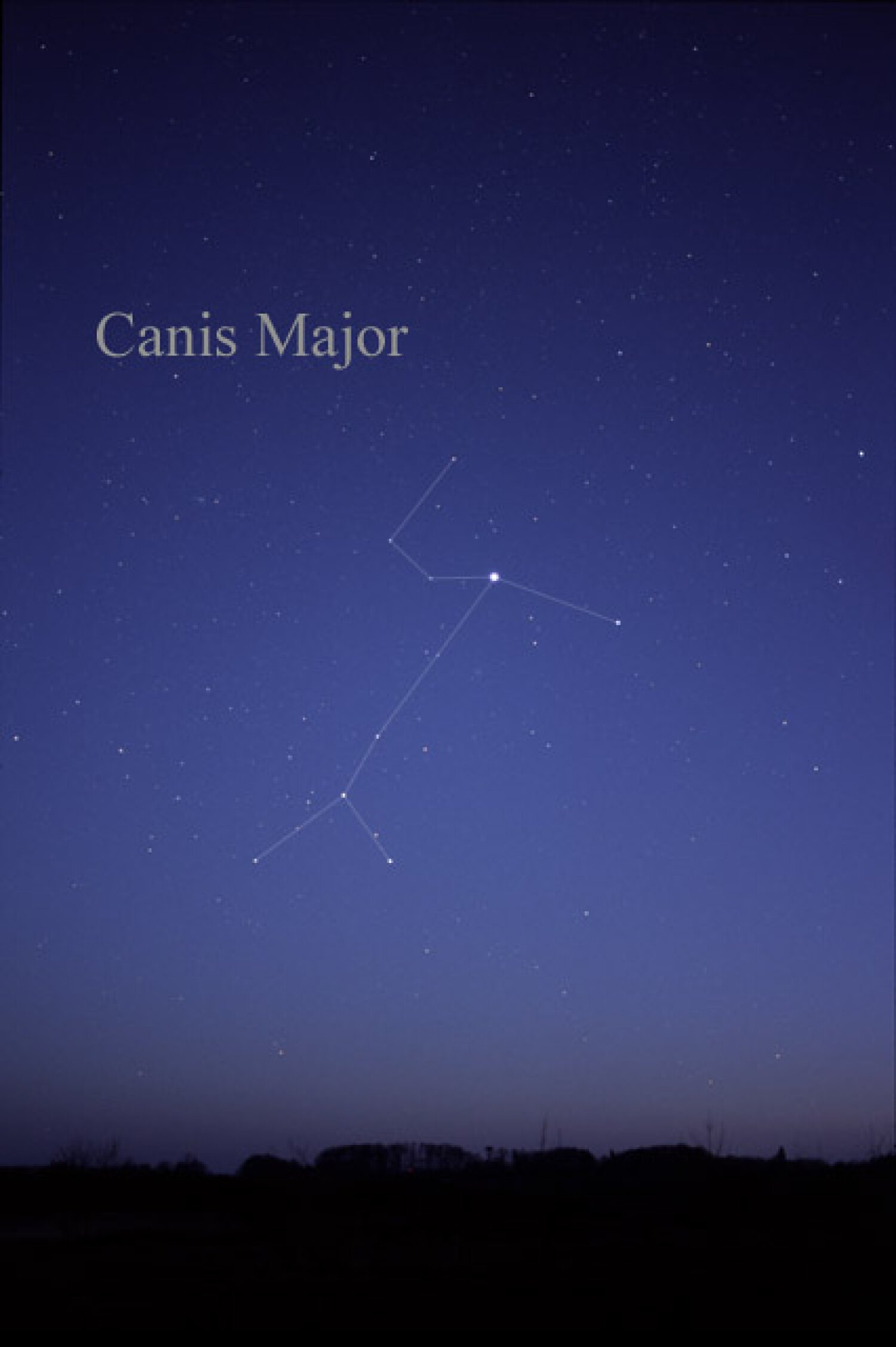 Sirius dominates Canis Major, but the ends of the front and back leg are marked by stars that are much larger, and were once close enough to be much brighter.