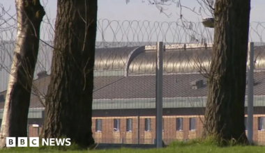 In the foreground of the image is a grassy bank and three trees, in the background there is a barbed wire fence, and behind it a large building with lots of windows