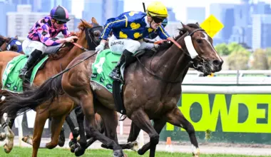 Four horses who can win a Group 1 in 2026