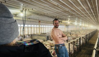 Mercer County Farmer Dudoir Calendar Highlighting Mental Health Resources For Ag Workers – WRMJ.COM