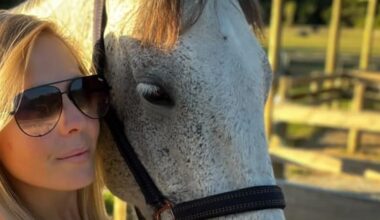 Hundreds hunt for beloved runaway horse: 'worst nightmare'