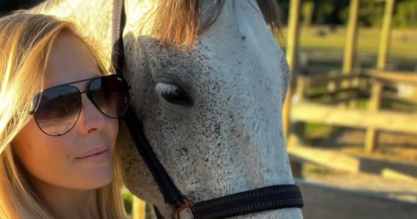 Hundreds hunt for beloved runaway horse: 'worst nightmare'