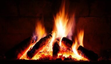 What actually is fire? A physicist explains