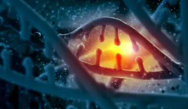 Experimental RNA treatment shows surprising DNA repair power