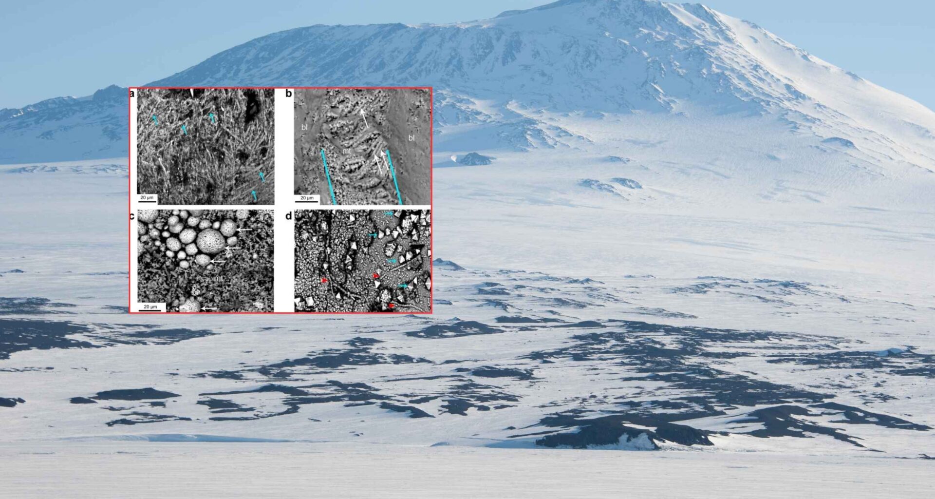 Enormous 68-million-year-old egg dubbed ‘The Thing’ unearthed in Antarctica