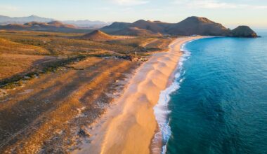 After years of tracking mysterious whale calls, scientists finally spotted a pair of elusive ginkgo-toothed beaked whales.