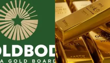 GoldBod should be fixed, not scrapped – Economist