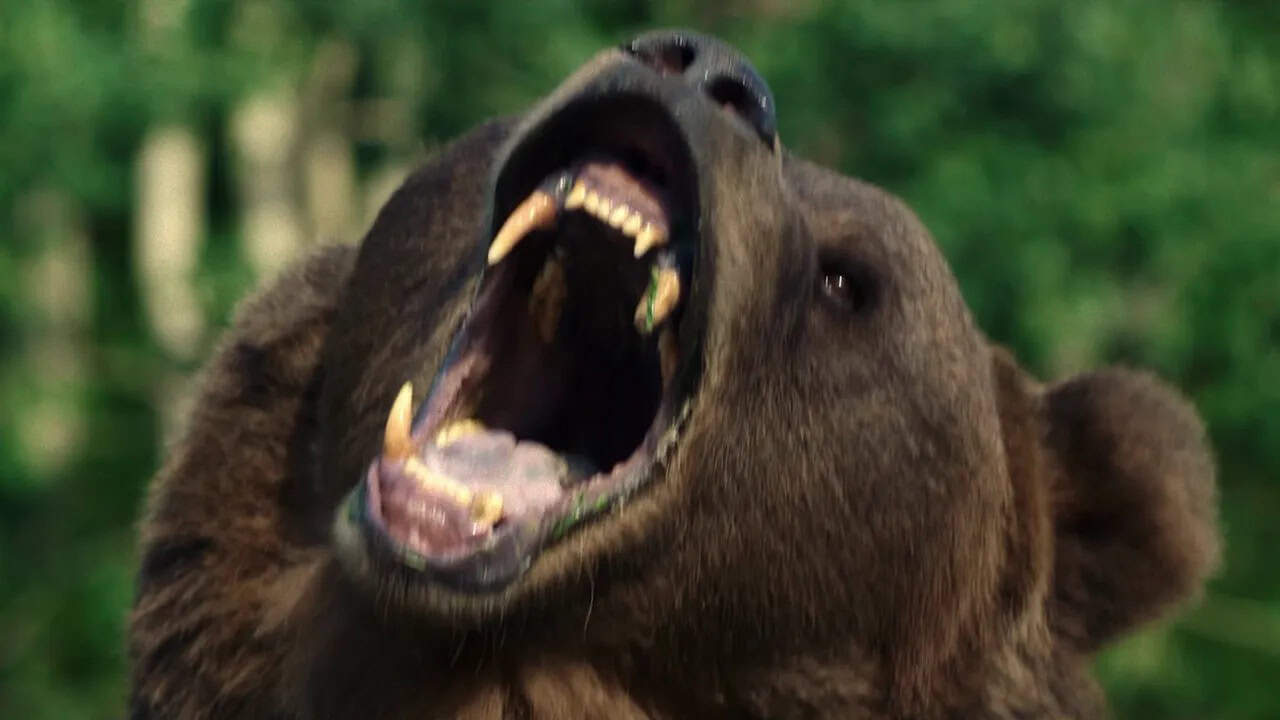 fact-based nature run amok movie gets a January release